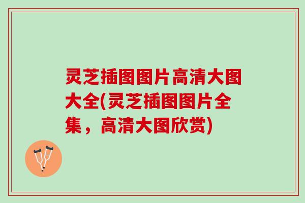 灵芝插图图片高清大图大全(灵芝插图图片全集，高清大图欣赏)
