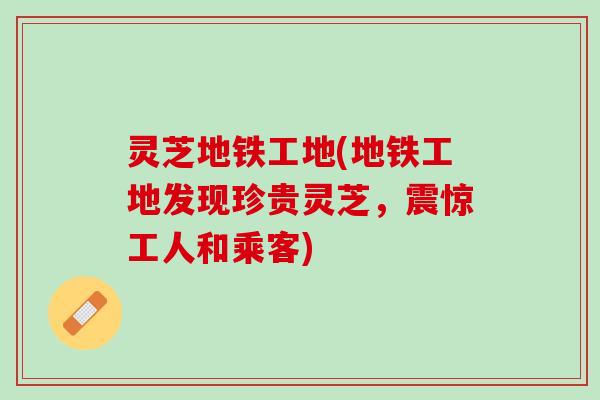 灵芝地铁工地(地铁工地发现珍贵灵芝，震惊工人和乘客)