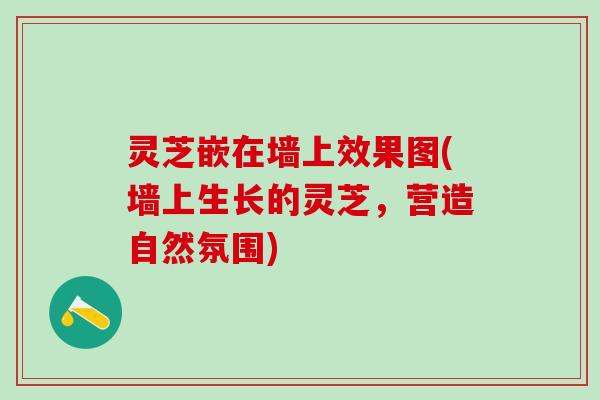 灵芝嵌在墙上效果图(墙上生长的灵芝，营造自然氛围)