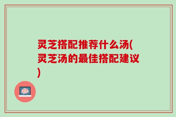 灵芝搭配推荐什么汤(灵芝汤的最佳搭配建议)