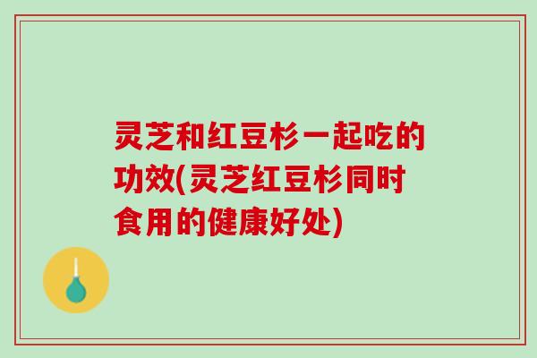 灵芝和红豆杉一起吃的功效(灵芝红豆杉同时食用的健康好处)