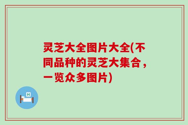 灵芝大全图片大全(不同品种的灵芝大集合，一览众多图片)