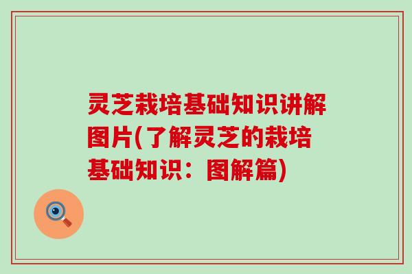 灵芝栽培基础知识讲解图片(了解灵芝的栽培基础知识：图解篇)