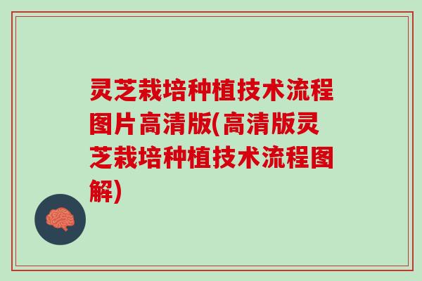 灵芝栽培种植技术流程图片高清版(高清版灵芝栽培种植技术流程图解)