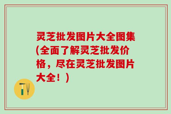 灵芝批发图片大全图集(全面了解灵芝批发价格，尽在灵芝批发图片大全！)