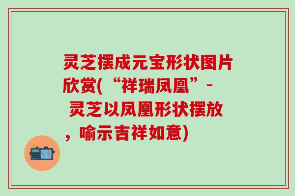 灵芝摆成元宝形状图片欣赏(“祥瑞凤凰”- 灵芝以凤凰形状摆放，喻示吉祥如意)