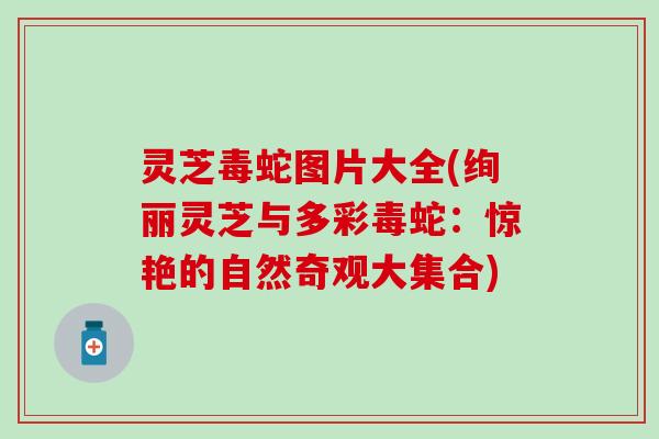 灵芝毒蛇图片大全(绚丽灵芝与多彩毒蛇：惊艳的自然奇观大集合)