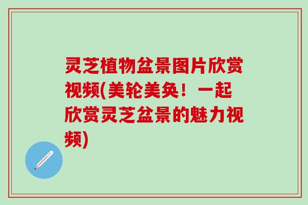 灵芝植物盆景图片欣赏视频(美轮美奂！一起欣赏灵芝盆景的魅力视频)