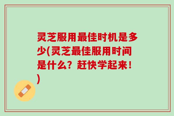 灵芝服用最佳时机是多少(灵芝最佳服用时间是什么？赶快学起来！)