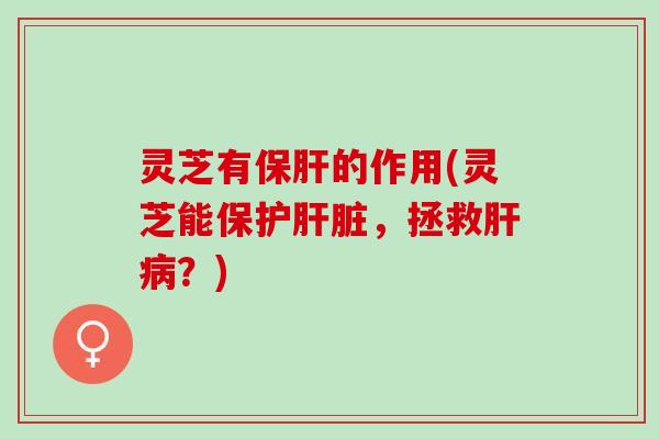 灵芝有保肝的作用(灵芝能保护肝脏，拯救肝病？)