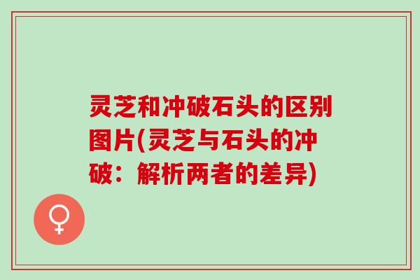 灵芝和冲破石头的区别图片(灵芝与石头的冲破：解析两者的差异)