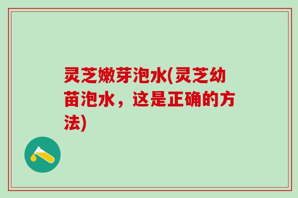 灵芝嫩芽泡水(灵芝幼苗泡水，这是正确的方法)