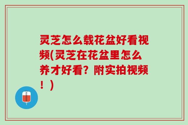 灵芝怎么载花盆好看视频(灵芝在花盆里怎么养才好看？附实拍视频！)