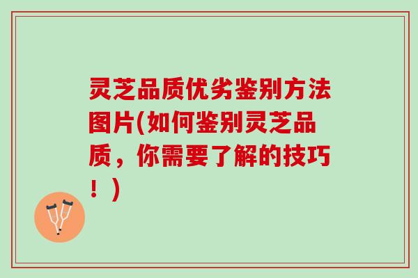 灵芝品质优劣鉴别方法图片(如何鉴别灵芝品质，你需要了解的技巧！)