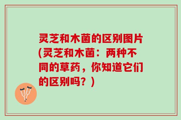 灵芝和木菌的区别图片(灵芝和木菌：两种不同的草药，你知道它们的区别吗？)