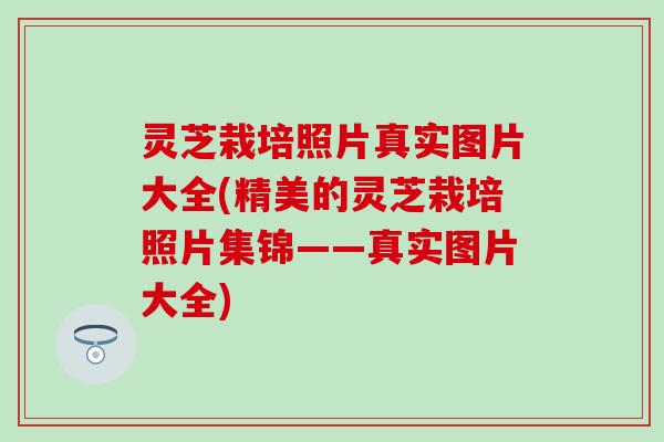 灵芝栽培照片真实图片大全(精美的灵芝栽培照片集锦——真实图片大全)