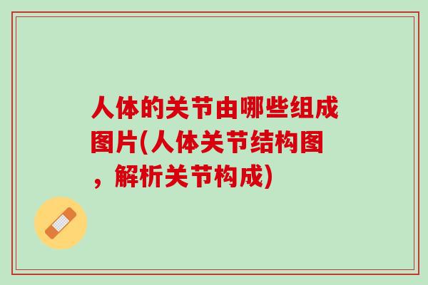 人体的关节由哪些组成图片(人体关节结构图，解析关节构成)