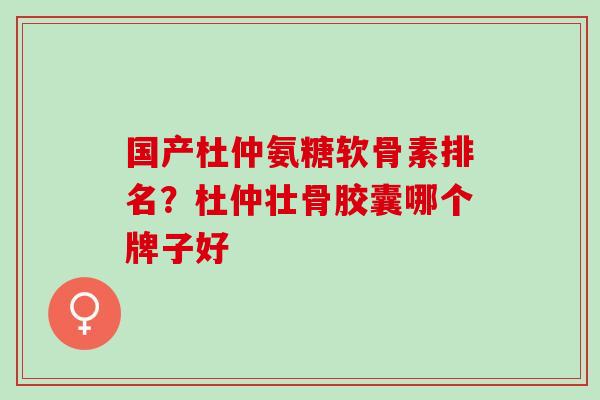 国产杜仲氨糖软骨素排名？杜仲壮骨胶囊哪个牌子好