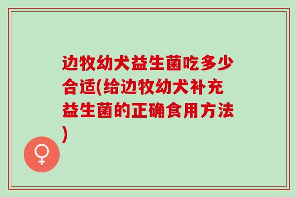 边牧幼犬益生菌吃多少合适(给边牧幼犬补充益生菌的正确食用方法)
