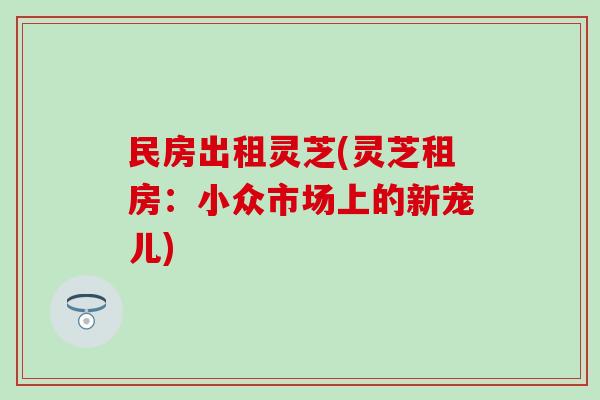 民房出租灵芝(灵芝租房：小众市场上的新宠儿)