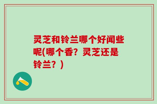 灵芝和铃兰哪个好闻些呢(哪个香?灵芝还是铃兰?) 灵芝和铃兰哪个好闻些呢(哪个香?灵芝还是铃兰?)