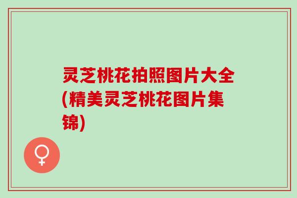 灵芝桃花拍照图片大全(精美灵芝桃花图片集锦)