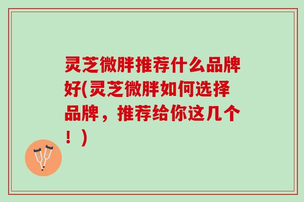 灵芝微胖推荐什么品牌好(灵芝微胖如何选择品牌,推荐给你这几个!) 灵芝微胖推荐什么品牌好(灵芝微胖如何选择品牌,推荐给你这几个!)