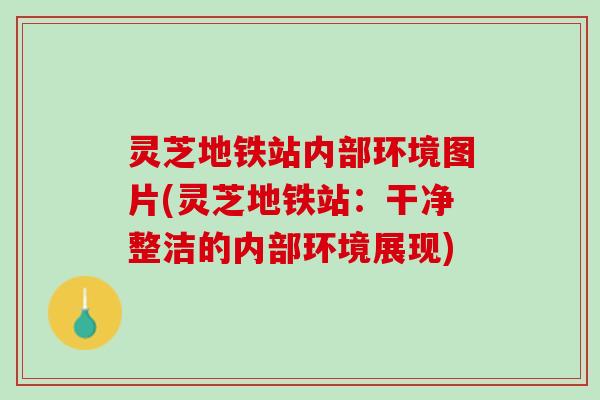 灵芝地铁站内部环境图片(灵芝地铁站：干净整洁的内部环境展现)