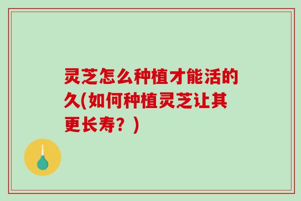 灵芝怎么种植才能活的久(如何种植灵芝让其更长寿？)