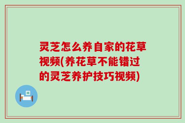 灵芝怎么养自家的花草视频(养花草不能错过的灵芝养护技巧视频)