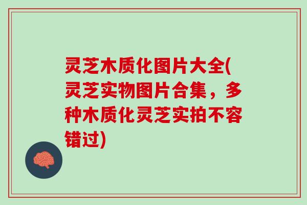 灵芝木质化图片大全(灵芝实物图片合集，多种木质化灵芝实拍不容错过)