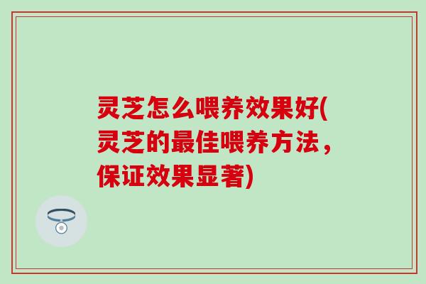 灵芝怎么喂养效果好(灵芝的最佳喂养方法，保证效果显著)