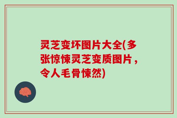 灵芝变坏图片大全(多张惊悚灵芝变质图片，令人毛骨悚然)