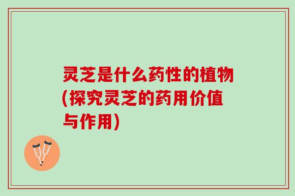灵芝是什么药性的植物(探究灵芝的药用价值与作用)
