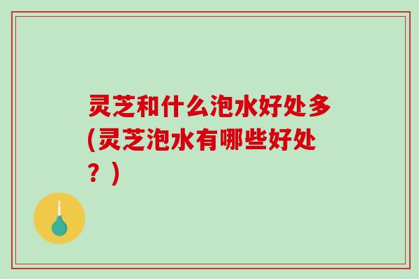 灵芝和什么泡水好处多(灵芝泡水有哪些好处？)