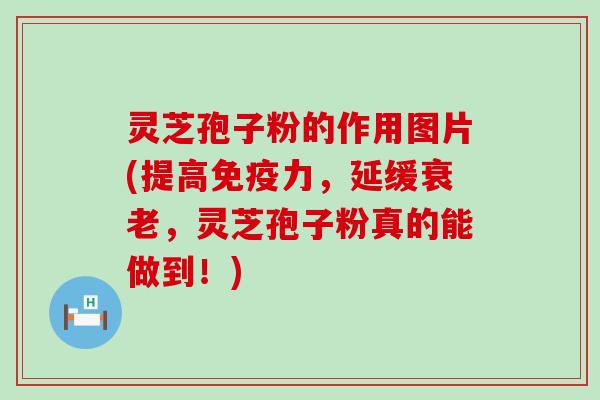 灵芝孢子粉的作用图片(提高免疫力，延缓衰老，灵芝孢子粉真的能做到！)