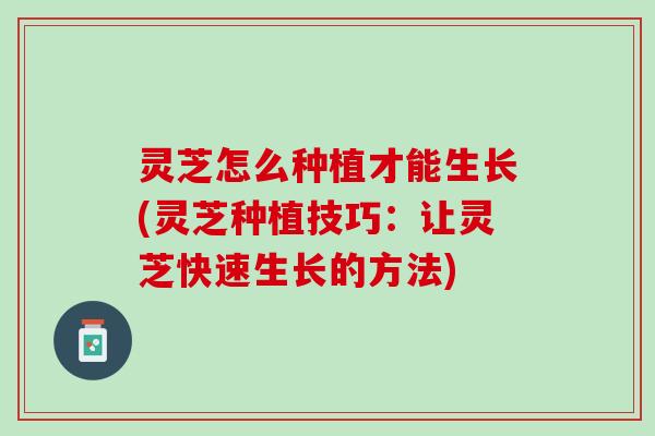 灵芝怎么种植才能生长(灵芝种植技巧：让灵芝快速生长的方法)