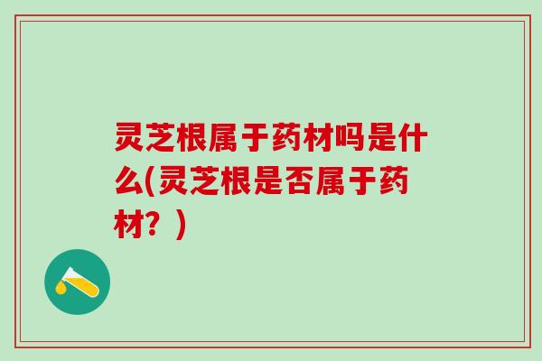 灵芝根属于药材吗是什么(灵芝根是否属于药材？)