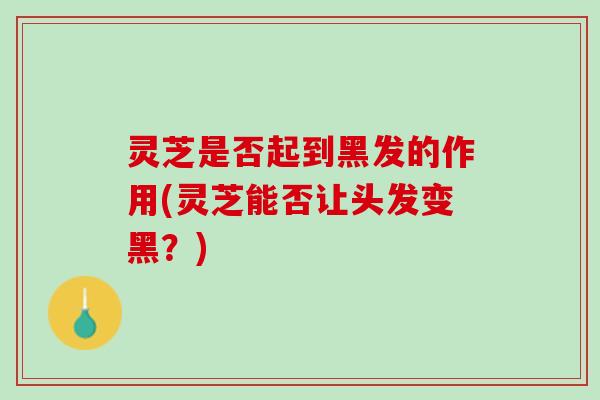 灵芝是否起到黑发的作用(灵芝能否让头发变黑？)