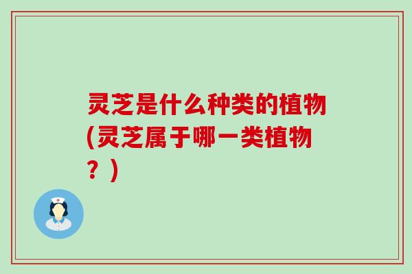 灵芝是什么种类的植物(灵芝属于哪一类植物？)