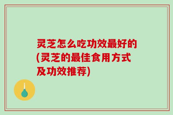灵芝怎么吃功效最好的(灵芝的最佳食用方式及功效推荐)