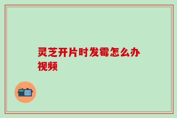 灵芝开片时发霉怎么办视频