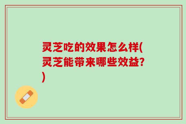 灵芝吃的效果怎么样(灵芝能带来哪些效益？)