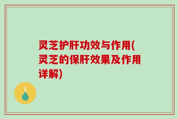 灵芝护肝功效与作用(灵芝的保肝效果及作用详解)