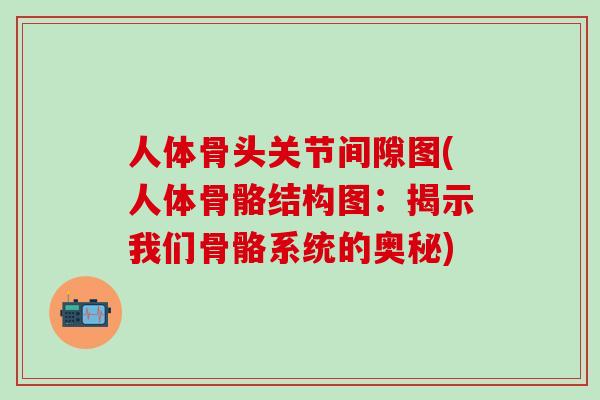人体骨头关节间隙图(人体骨骼结构图：揭示我们骨骼系统的奥秘)