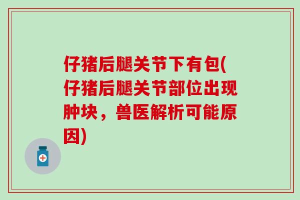 仔猪后腿关节下有包(仔猪后腿关节部位出现肿块，兽医解析可能原因)