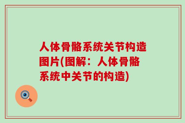 人体骨骼系统关节构造图片(图解：人体骨骼系统中关节的构造)