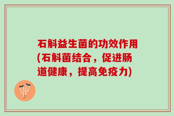 石斛益生菌的功效作用(石斛菌结合，促进肠道健康，提高免疫力)
