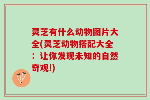 灵芝有什么动物图片大全(灵芝动物搭配大全：让你发现未知的自然奇观!)