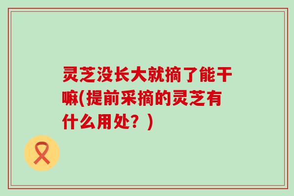灵芝没长大就摘了能干嘛(提前采摘的灵芝有什么用处?) 灵芝没长大就摘了能干嘛(提前采摘的灵芝有什么用处?)